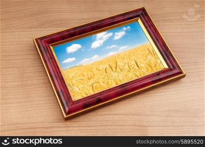 Wheat field in the picture frame