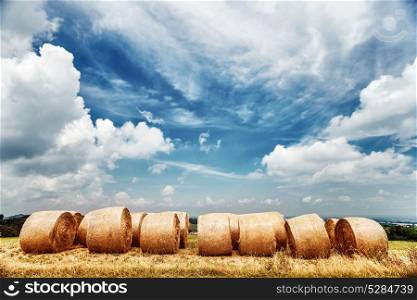 Wheat field landscape, dry bales over cloudy fall sky background, autumnal harvest season, farming fields, beautiful golden haystack, agriculture industry, Italy