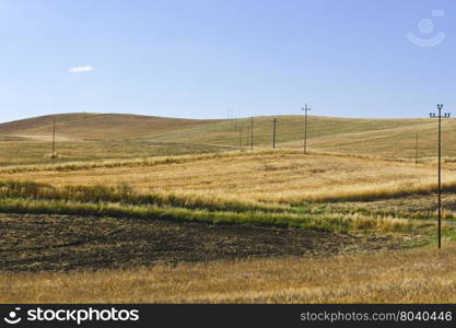 Wheat Field on the Hills in Sicily