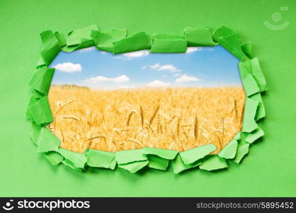 Wheat field through hole in paper