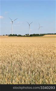 wheat field with wind turbines