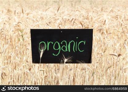 Wheat field with word organic written on blackboard