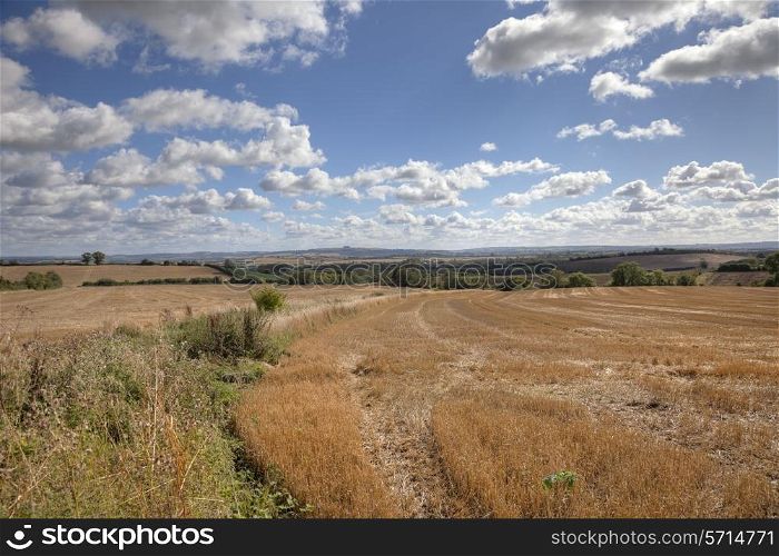 Wheat fields after harvest, English countryside, Gloucestershire, England.