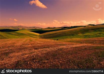 Wheat Fields on the Hills of Sicily at Sunset
