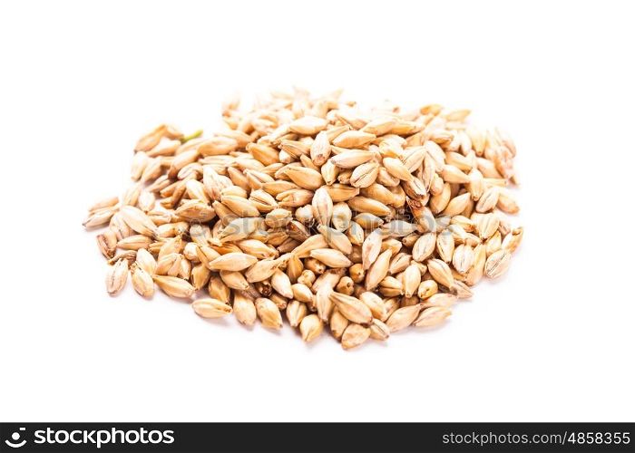 wheat grain heap isolated on white background. wheat grain isolated
