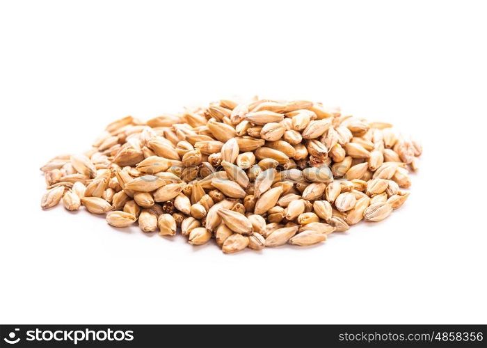 wheat grain heap isolated on white background. wheat grain isolated