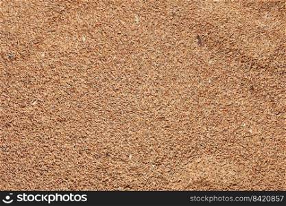Wheat grains as agricultural background. Processed organic wheat grains texture. Close up top view. Suitable as a backdrop for the projects on art, creativity, imagination and design.. Wheat grains as agricultural background. Processed organic wheat grains texture. Close up top view. Suitable as a backdrop for the projects on art, creativity, imagination and design