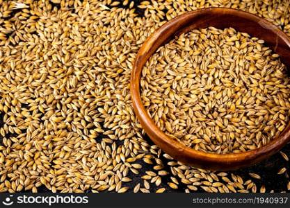 Wheat grains in a wooden plate. On a dark background.. Wheat grains in a wooden plate.