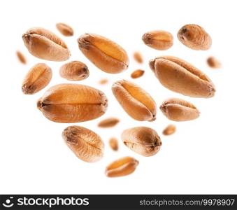 Wheat grains in the shape of a heart on a white background.. Wheat grains in the shape of a heart on a white background