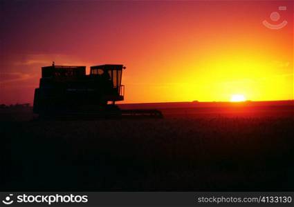 Wheat harvest and a combine with sunset in the background, Burlington ,Colorado