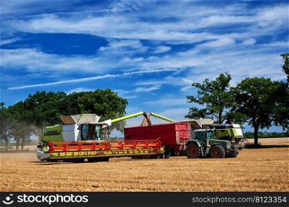 wheat harvester machine at work on field