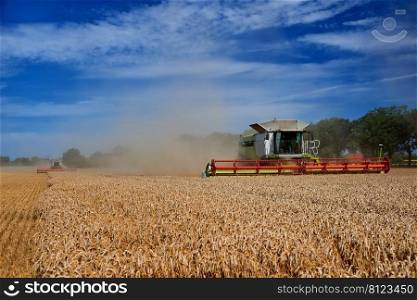 wheat harvester machine at work on field