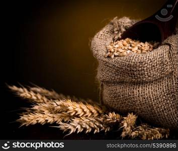 Wheat in burlap bag and wooden scoop