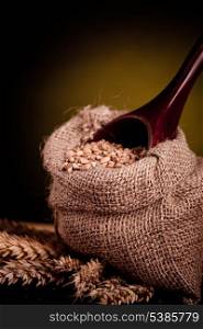 Wheat in small burlap sack and wooden spoon