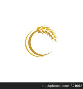 Wheat logo template vector icon illustration design