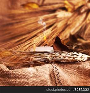 Wheat on canvas with candle, thanksgiving decoration, autumn background, harvest concept