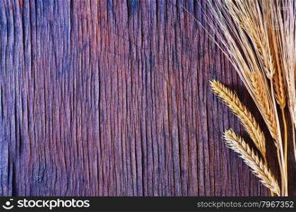 wheat on the wooden table, golden wheat