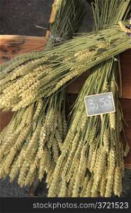 Wheat or corn bouquets, for sale at a French market