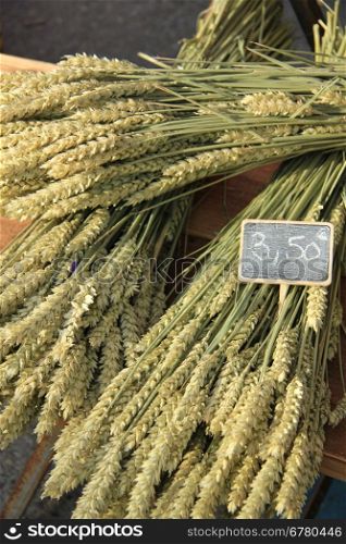 Wheat or corn bouquets, for sale at a French market