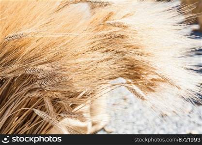 Wheat sacks during a sunny day in a warm summer season