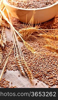 wheat seeds on rough material