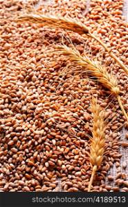 wheat seeds on rough material