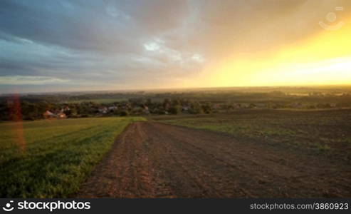 Wheat with cloudy sky