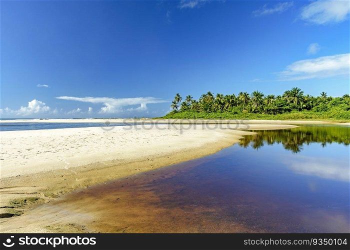 Where the river meets the sea with coconut trees in the background at Sargi beach in Serra Grande on the coast of Bahia. Where the river meets the sea with coconut trees in the background