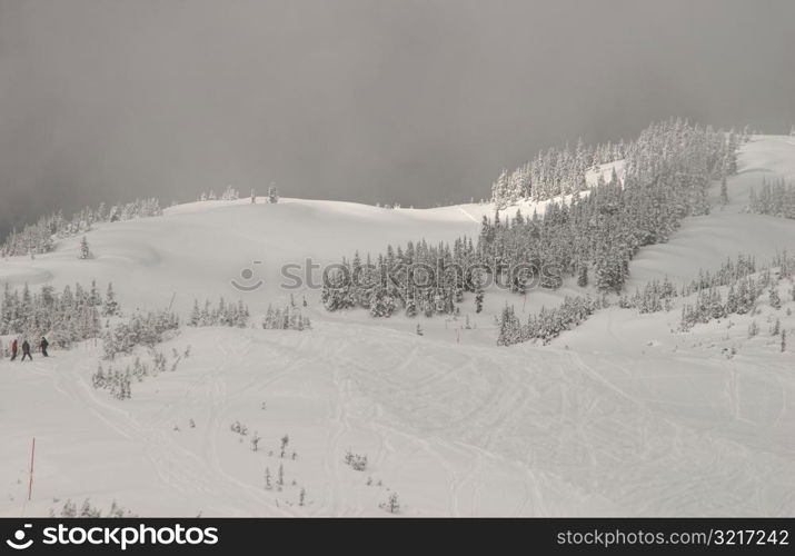 Whistler, B.C. Canada