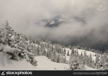 Whistler, B.C. Canada