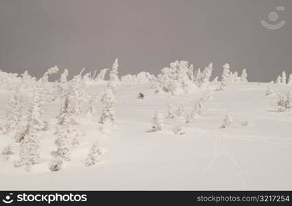 Whistler, B.C. Canada