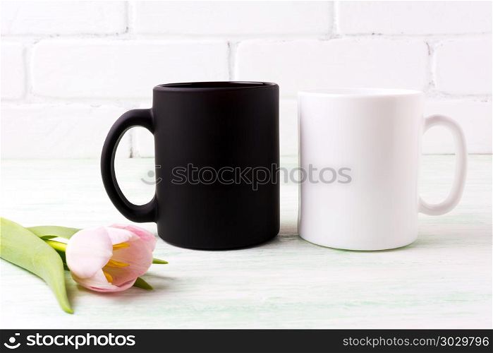 White and black coffee mug mockup with tender pink tulip flower. Empty mug mock up for design promotion. . White and black mug mockup with pink tulip