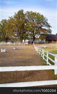 White and brown horses stand near the stay. White wooden fence. White and brown horses stand near the stay. White wooden fence.