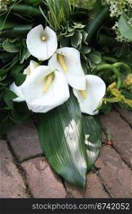 White and green arum sympathy floral arrangement on pavement
