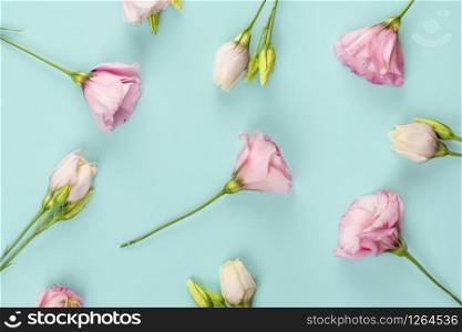 White and pink Eustoma flowers arrangement or pattern on tender pastel pink background. Flower pattern flat lay top view. White and pink Eustoma flowers arrangement or pattern on tender pastel pink background.