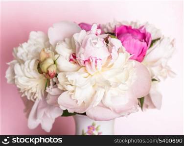 White and pink peonies on soft background for design
