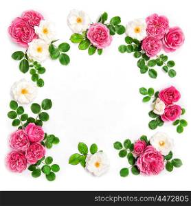 White and pink rose flowers with green leaves. Floral flat lay background