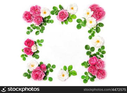 White and pink rose flowers with green leaves.Floral olidays background