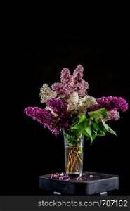 White and purple branches of lilac in glass vase on black background. Spring branch of blooming lilac on the table with black background. Fallen lilac flowers on the table.