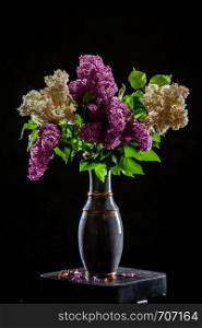 White and purple branches of lilac in vase on black background. Spring branch of blooming lilac on the table with black background. Fallen lilac flowers on the table.