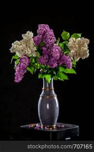 White and purple branches of lilac in vase on black background. Spring branch of blooming lilac on the table with black background. Fallen lilac flowers on the table.