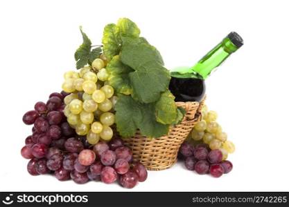 white and red grape with leaves and bottle of wine in the basket