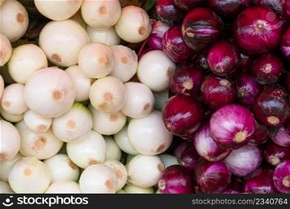 white and red onions at the farmers market
