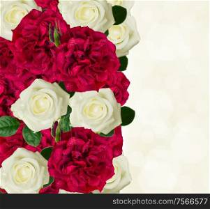 white and red roses border on bokeh background