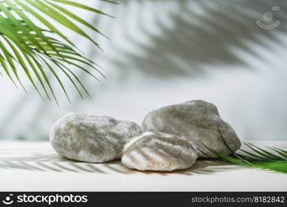 White background of wall with palm shadows and white stone podium. Free space for your decoration. product presentation, mock up, show cosmetic product display, Podium, stage pedestal or platform.. White stone podium