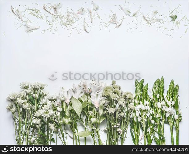 White background with green flowers setting and petals , top view, frame or border