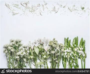 White background with green flowers setting and petals , top view, frame or border