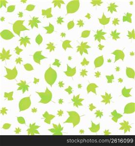 White background with leaves