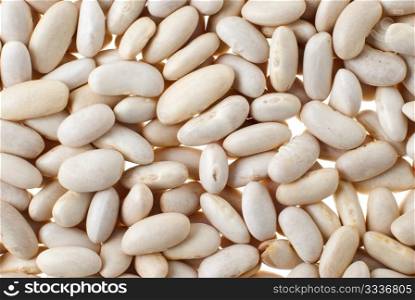 White bean background, food texture.