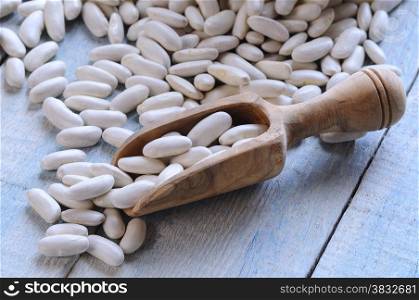 White Beans on the kitchen table for Asturian bean stew